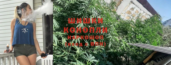спайс Алексин